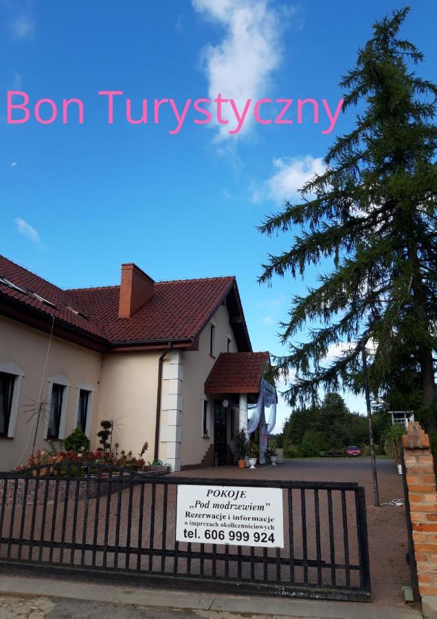Bed and Breakfast Pensjonat Agroturystyczny Pod Modrzewiem à Florczaki Extérieur photo