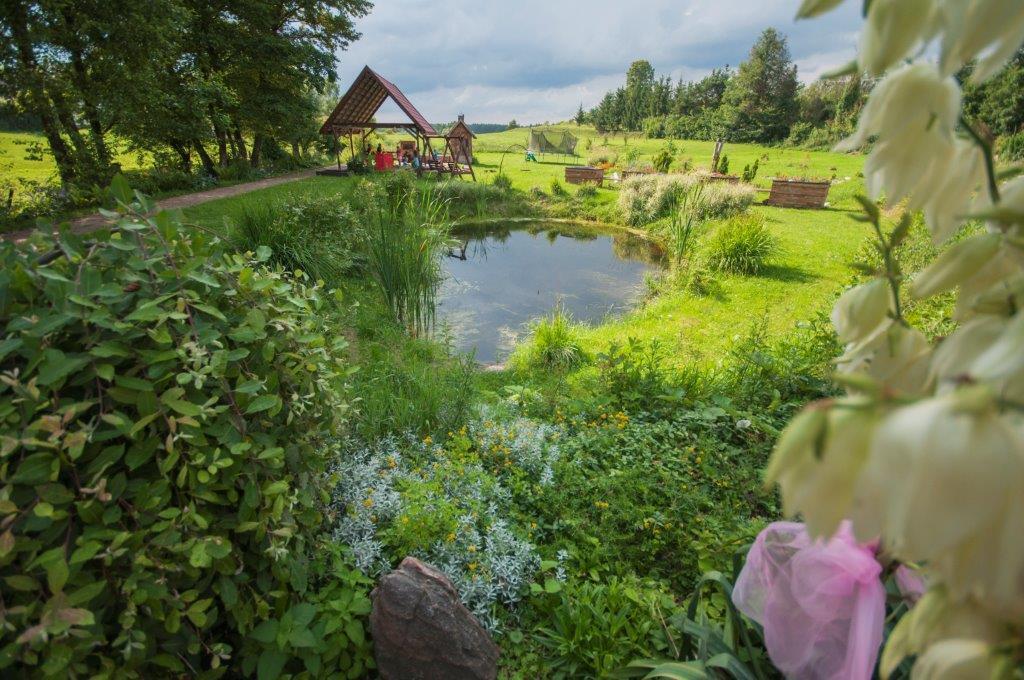 Bed and Breakfast Pensjonat Agroturystyczny Pod Modrzewiem à Florczaki Extérieur photo